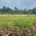 Bán đất nền A Lưới 2, Huế, 317,6 m², 590 triệu - Ảnh thu nhỏ 1