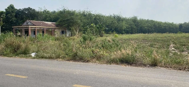 Bán đất 23.500m² Long Nguyên, Bàu Bàng, Bình Dương 20 tỷ