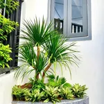 Bán nhà mới 2 tầng 67.5m² Diên Toàn 2 tỷ 450 - Ảnh thu nhỏ 2