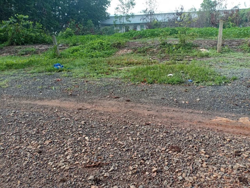 Bán đất full thổ cư 130m² Phước Thạnh Tây Ninh 495 triệu
