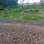 Bán đất full thổ cư 130m² Phước Thạnh Tây Ninh 495 triệu - Ảnh thu nhỏ 1