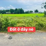Bán đất nền 100m² mặt tiền Long Chữ, Tây Ninh - Ảnh thu nhỏ 1