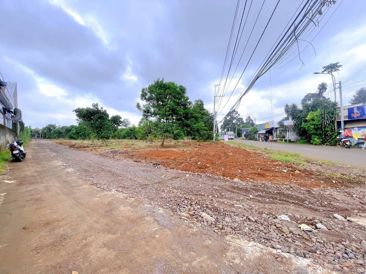 Bán đất ở 500m² Bình Lộc Tín Nghĩa, Bình Dương - Ảnh thu nhỏ 4