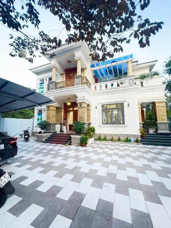 Biệt thự lô góc 2 mặt tiền 396m2, Bình Dương - Ảnh 1
