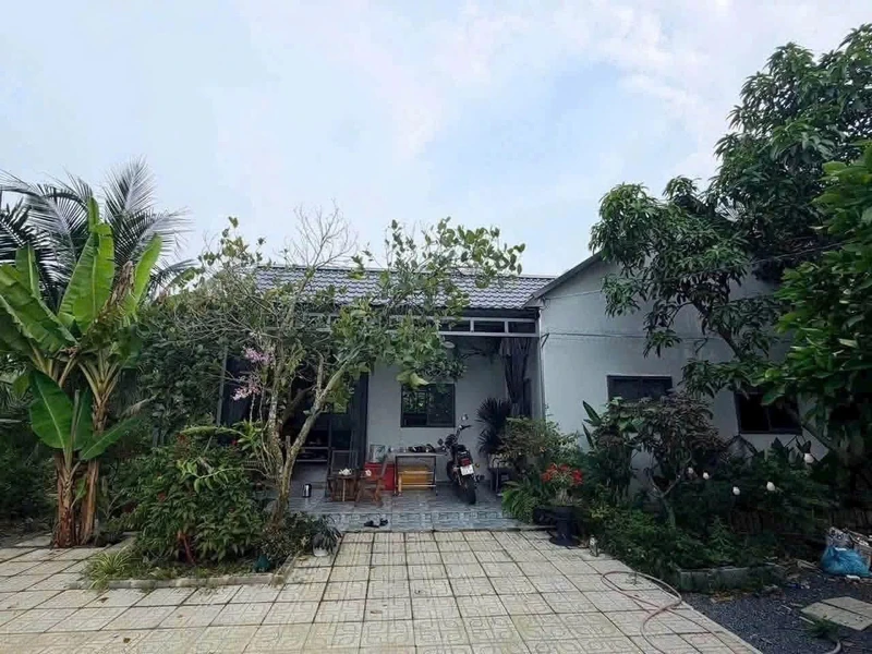 Bán nhà vườn Long An 900m² 2PN 1 tỷ 550 triệu