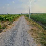 Bán đất 1 công (1000m²) giá 250 triệu Tây Ninh - Ảnh thu nhỏ 1