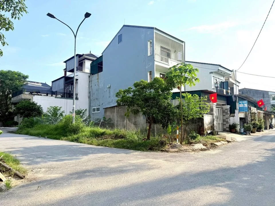Bán lô góc 2 mặt tiền 138.2m2 Xuân Thái Bình Chánh 7.7 tỷ - Ảnh thu nhỏ 4