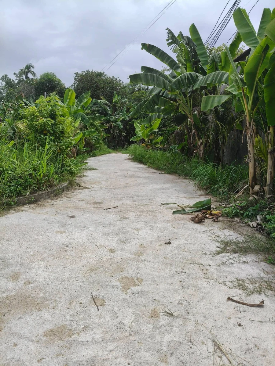 Bán 2 lô đất thổ cư 6x19m gần Tịnh Ấn Tây, Hóc Môn - Ảnh thu nhỏ 2