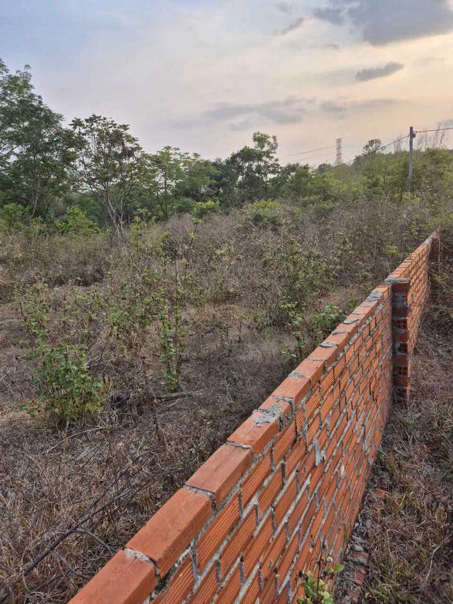 Bán đất 1.000m² mặt tiền An Khương Hớn Quản Bình Phước - Ảnh thu nhỏ 3