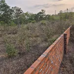 Bán đất 1.000m² mặt tiền An Khương Hớn Quản Bình Phước - Ảnh thu nhỏ 3