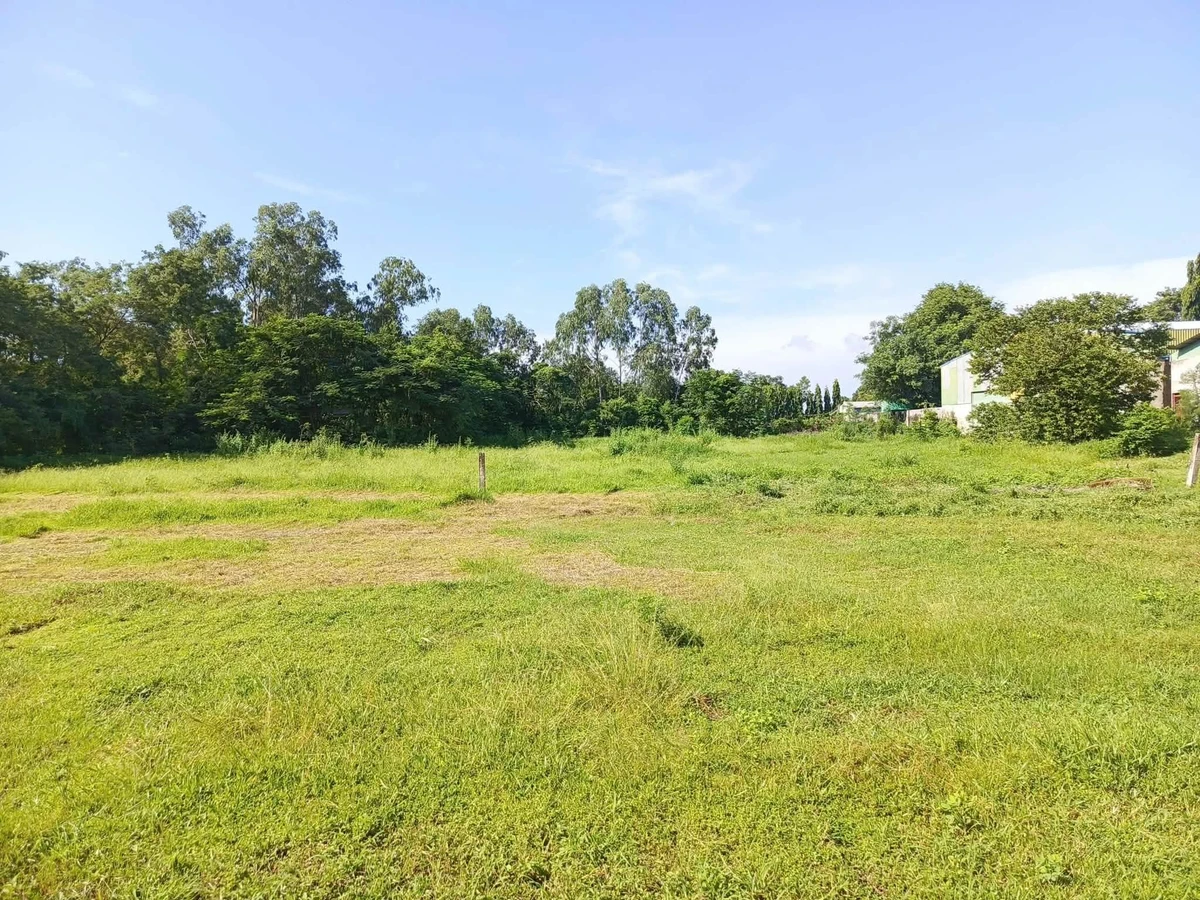 Bán lô đất cây trồng 3000m² Lâm Đồng mặt tiền bê tông - Ảnh thu nhỏ 5