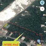 Bán 3 thửa đất liền kề hơn 14.000m2 mặt tiền sông và lộ tại Xã Phước Long, Vĩnh Long - Ảnh thu nhỏ 1