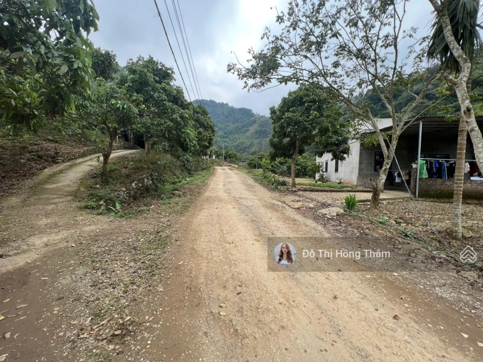 Một lô góc hiếm có 1237m2 bám trục chính liên xã đường sắp đổ nhựa tại Cao Sơn, Lương Sơn, 2,1tr/m2 - Ảnh thu nhỏ 3