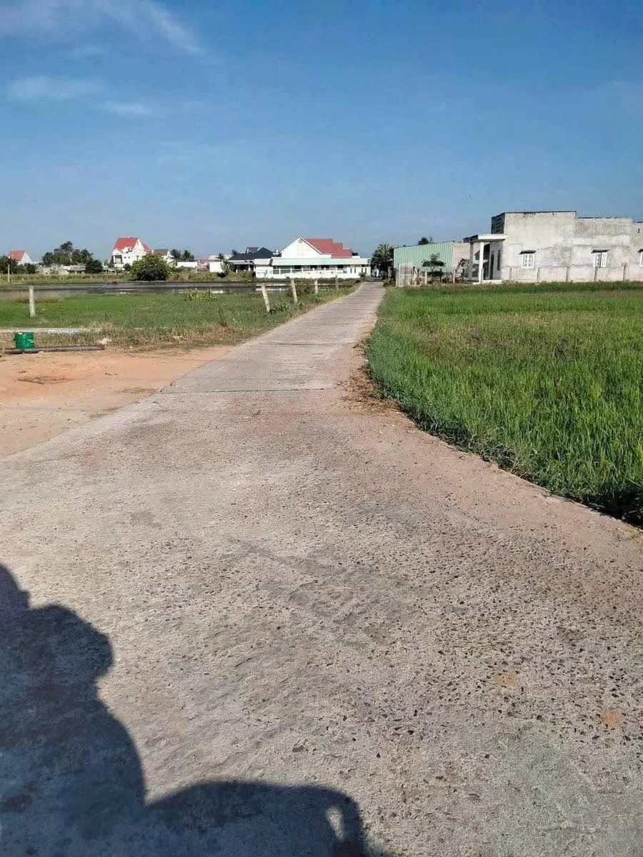 Bán lô thổ cư 100m2 mặt tiền đường xe hơi Hàm Liêm, Lâm Đồng - Ảnh thu nhỏ 4