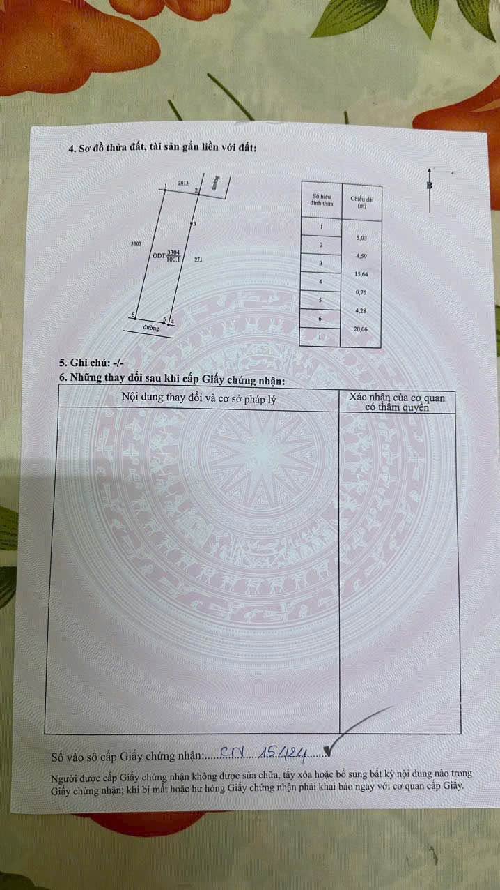 Bán 2 lô đất 100m² đường xe hơi Hàm Thắng, Lâm Đồng - Ảnh thu nhỏ 3