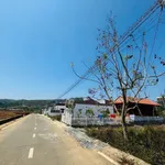 Bán đất Bồng Lai Hiệp Thạnh 200m² gần sân bay 1,25 tỷ - Ảnh thu nhỏ 1
