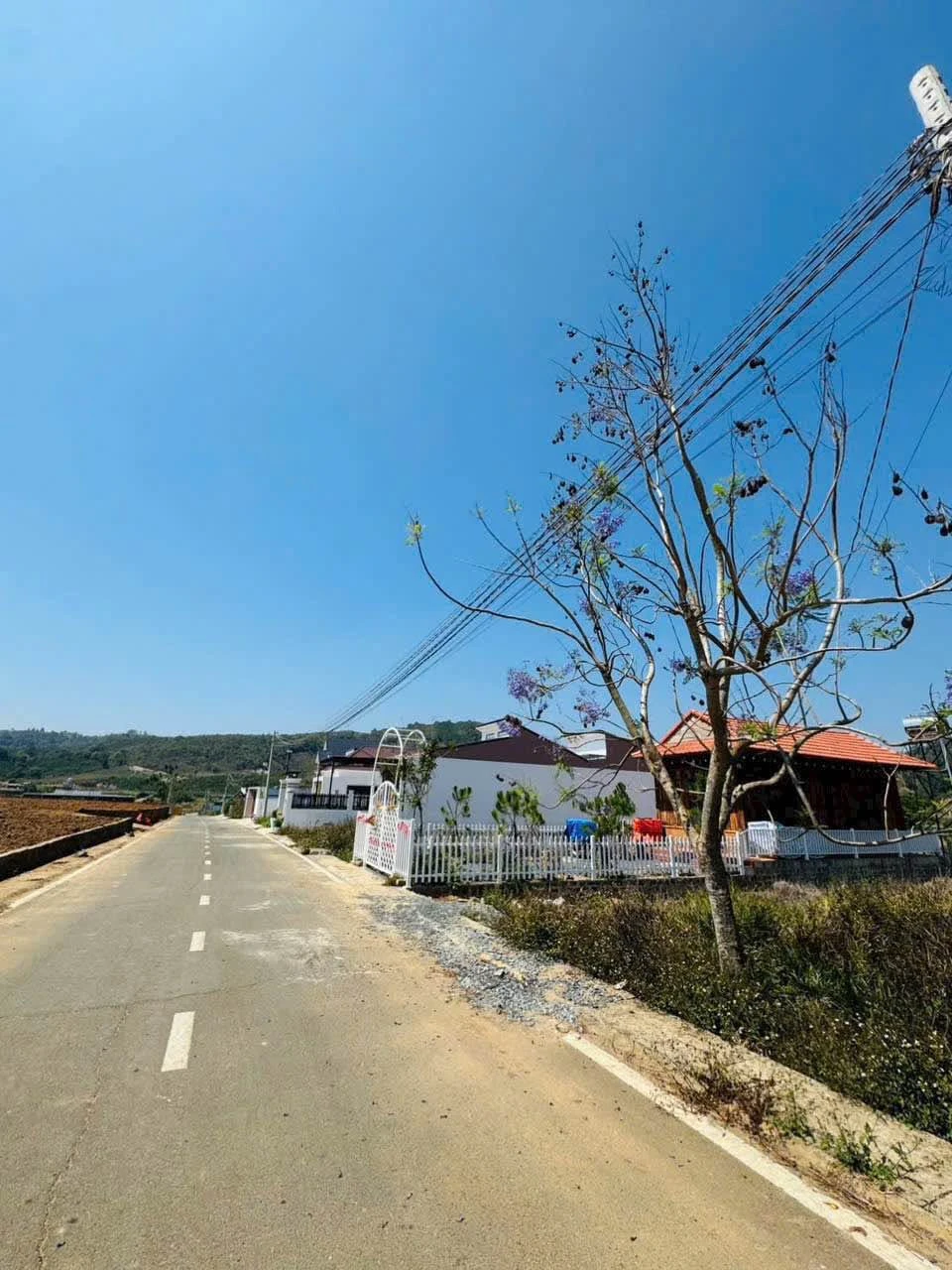 Bán đất Bồng Lai Hiệp Thạnh 200m² gần sân bay 1,25 tỷ - Ảnh 1