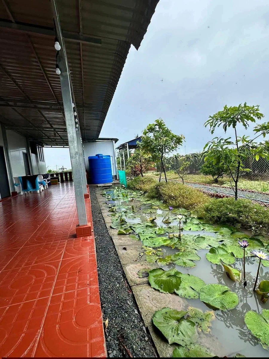 Bán nhà vườn 1000m2 giá 1,15 tỷ tại Long An - Ảnh 1