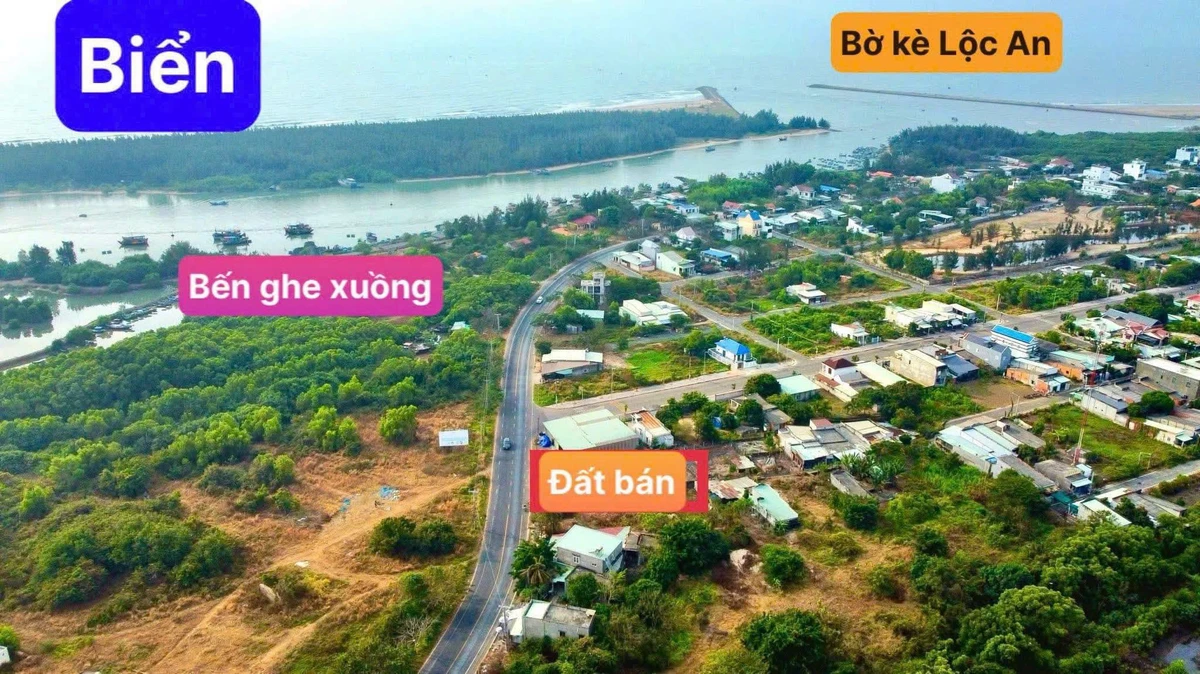 Bán đất mặt tiền đường biển Bình Châu Vũng Tàu 308m2 - Ảnh thu nhỏ 2