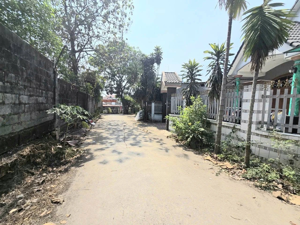 Bán đất hồng 1000m2 Phường Long Hưng, Đồng Nai - Ảnh thu nhỏ 4