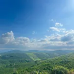 Bán lô đất gần 500m2 có thổ cư tại Tân Thượng, Di Linh, Lâm Đồng giá 350 triệu - Ảnh thu nhỏ 3
