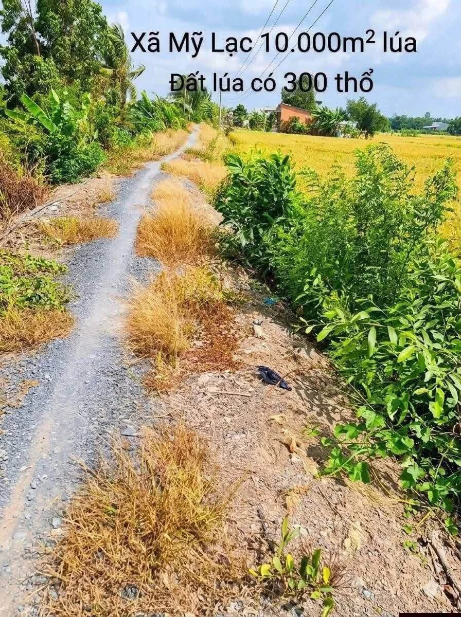 Bán 10.000 m² đất lúa với 300 m² thổ cư tại Thủ Thừa, Long An - Ảnh 1