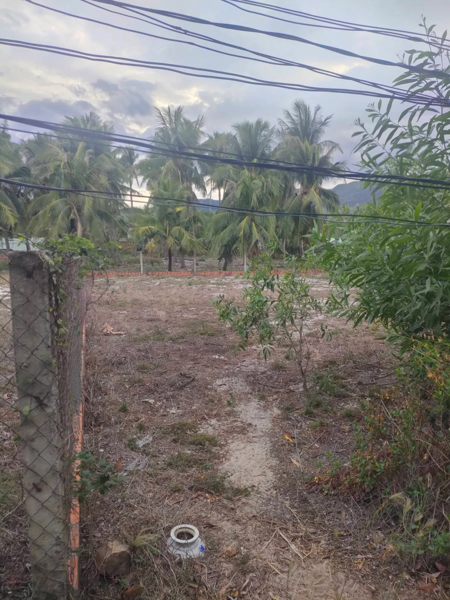 Bán đất thổ cư 23x30m Xuân Lộc Thủ Đức - Ảnh thu nhỏ 2