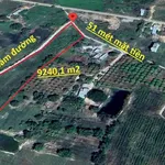 Bán đất 9240m² Sông Bình, Bắc Bình, Bình Thuận 2.3 tỷ - Ảnh thu nhỏ 3