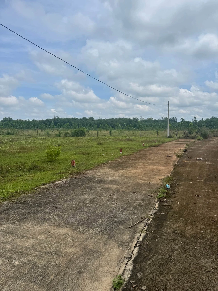 Bán đất 1000m² có nhà cấp 4 tại Bình Phước 390 triệu - Ảnh thu nhỏ 4