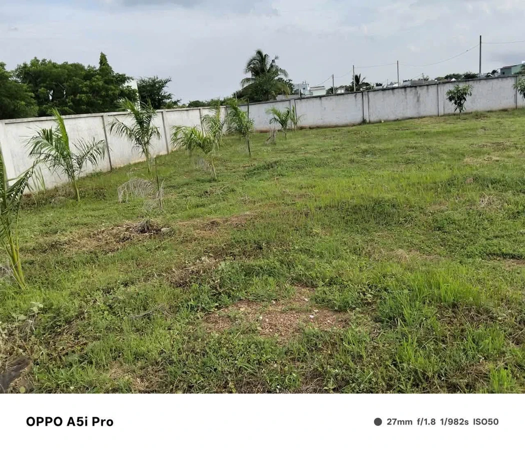 Bán đất 800m² Phong Nẫm Phan Thiết 1.5 tỷ - Ảnh thu nhỏ 3