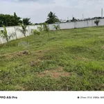 Bán đất 800m² Phong Nẫm Phan Thiết 1.5 tỷ - Ảnh thu nhỏ 3