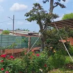 Bán nhà vườn 1500m² 3 phòng ngủ ở Tam Long Thủ Đức - Ảnh thu nhỏ 3