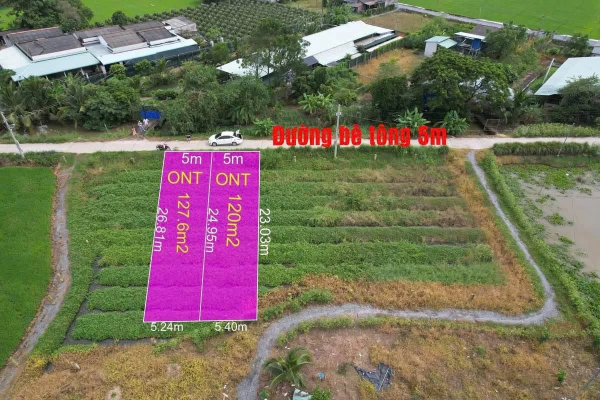 Bán đất thổ cư 120m² Tân Trụ Long An giá 350 triệu - Ảnh thu nhỏ 4