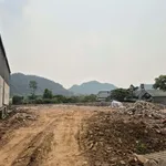 Lô mặt đường Quốc Lộ 6 (Vip) trung tâm Mộc Châu - Ảnh thu nhỏ 4