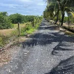 Bán 1000m2 đất vườn giá 390 triệu tại Bình Đức, Bến Lức, Long An - Ảnh thu nhỏ 3