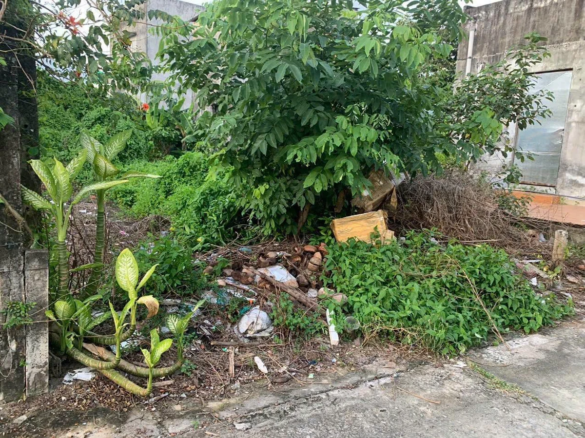 Bán đất thổ cư 151m² hẻm ô tô gần đường Lê Văn Kiệt, Phường 6, Tân An, Long An - Ảnh thu nhỏ 2
