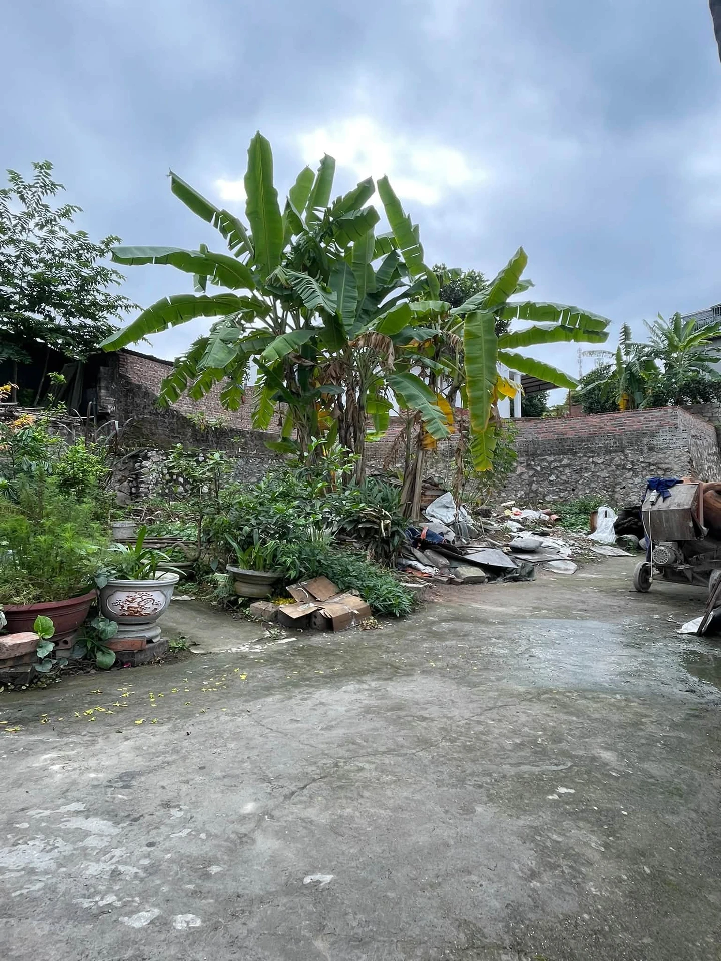 Bán đất 61m2 mặt tiền 5,5m cũ Hà Tu, Bình Chánh - Ảnh 1