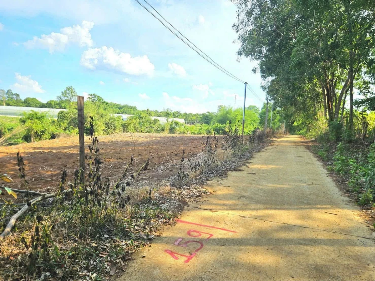 Bán 1.000m2 đất ngang 12m giá hơn 100 triệu nguyên lô tại Hớn Quản - Ảnh 1