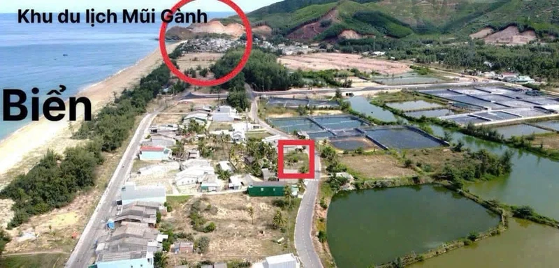 Bán đất góc sát biển Hoài Hải Bình Định 100m² giá 6 tỷ