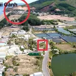 Bán đất góc sát biển Hoài Hải Bình Định 100m² giá 6 tỷ - Ảnh thu nhỏ 1