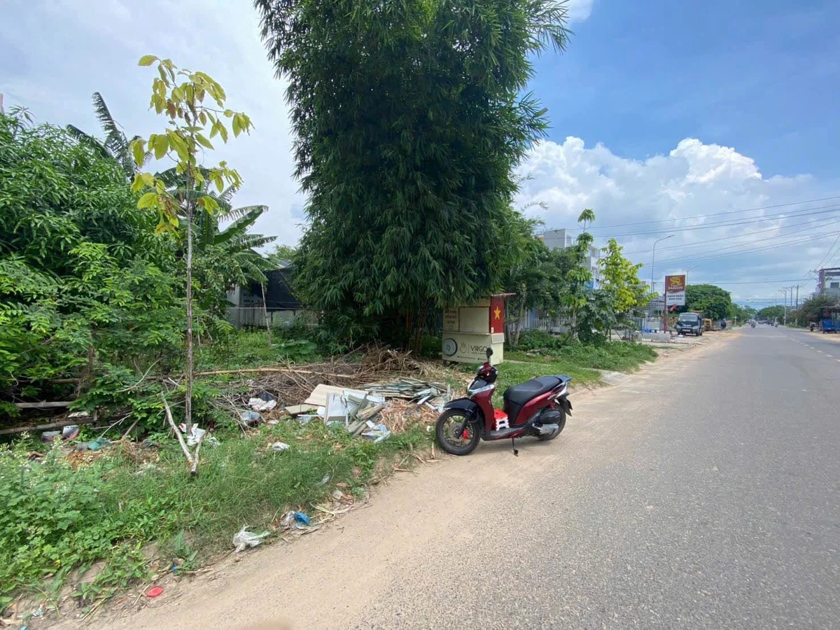 Bán đất 100m2 mặt tiền kinh doanh Nguyễn Thị Định, Lâm Đồng - Ảnh thu nhỏ 2