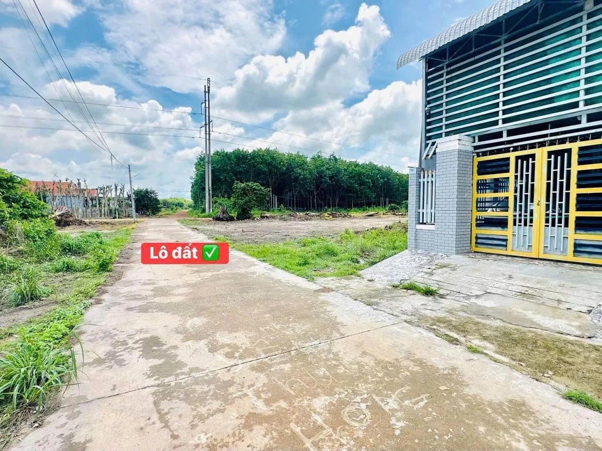 Bán đất Chơn Thành 148,7m² - 650 triệu - Ảnh thu nhỏ 3