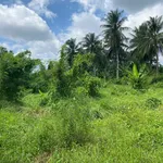 Bán đất vườn 1.500m² view sông Ba Lai Phú Túc 1,2 tỷ - Ảnh thu nhỏ 4
