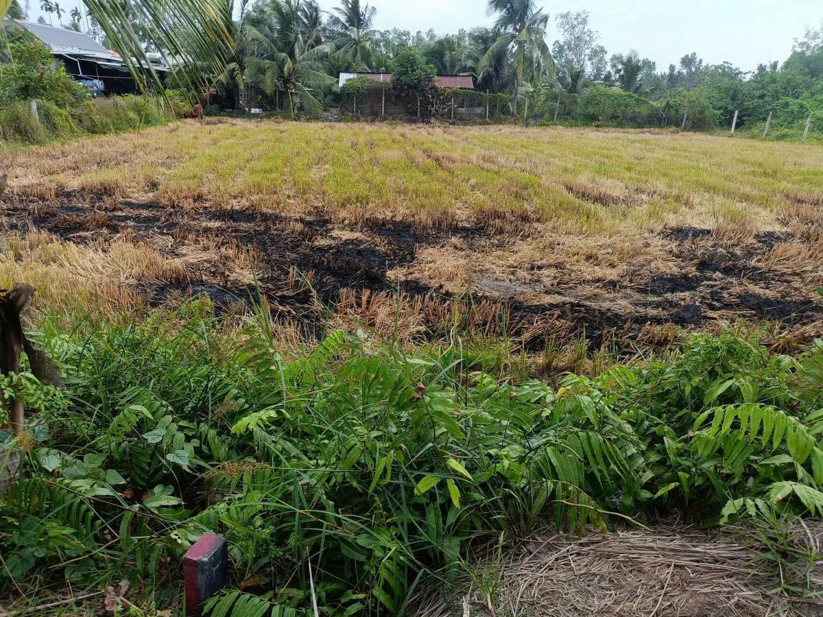 Bán đất vườn 500 m² Tây Đức Hòa giáp kênh - Ảnh thu nhỏ 4