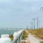 Gấp: Bán lô BT 2 mặt tiền khu Bà Điều giá ra nhanh 8,7 tỷ - Ảnh thu nhỏ 7