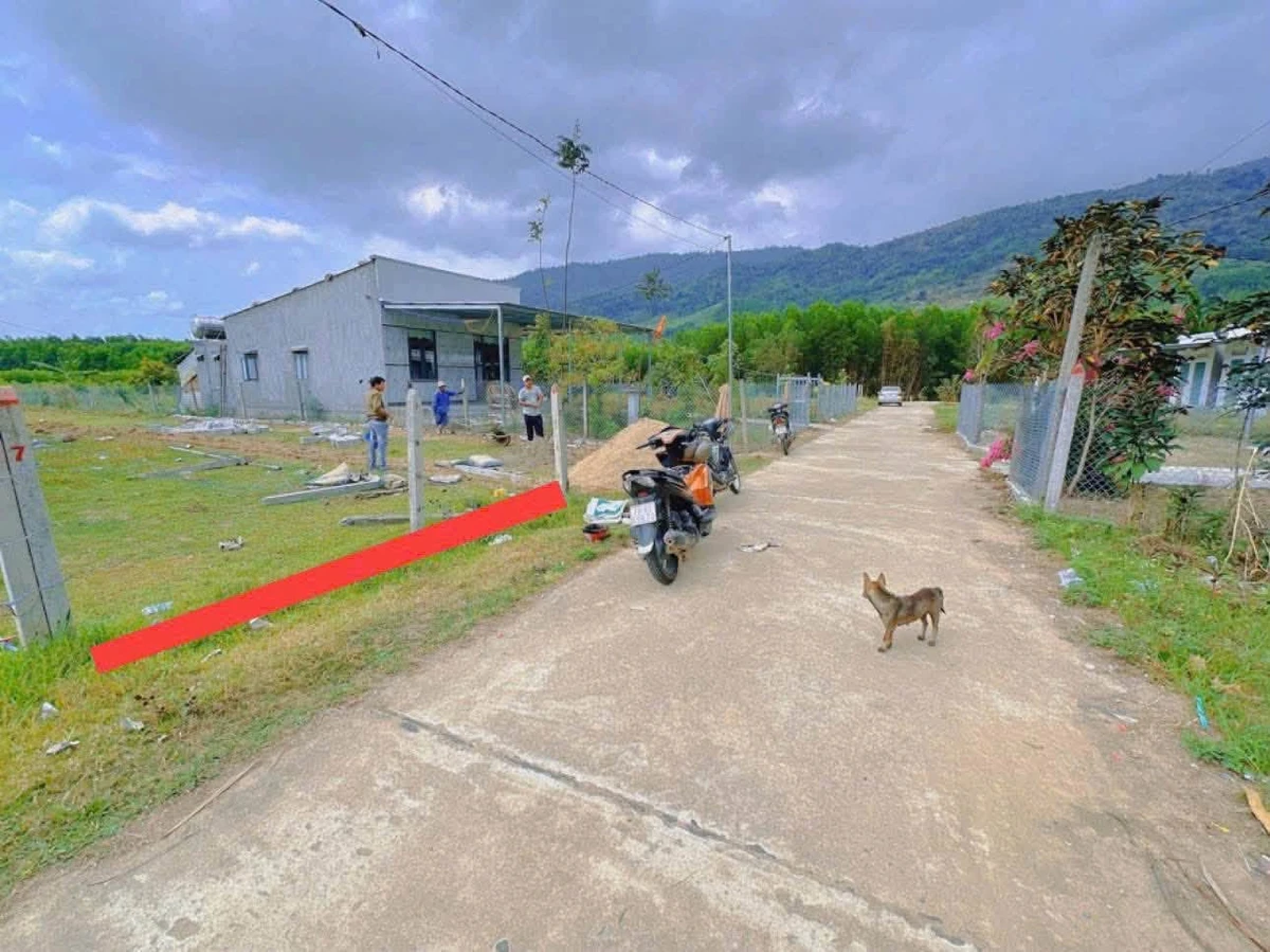 Bán lô đất 262m² Khánh Hiệp, Cần Thơ - Ảnh thu nhỏ 3