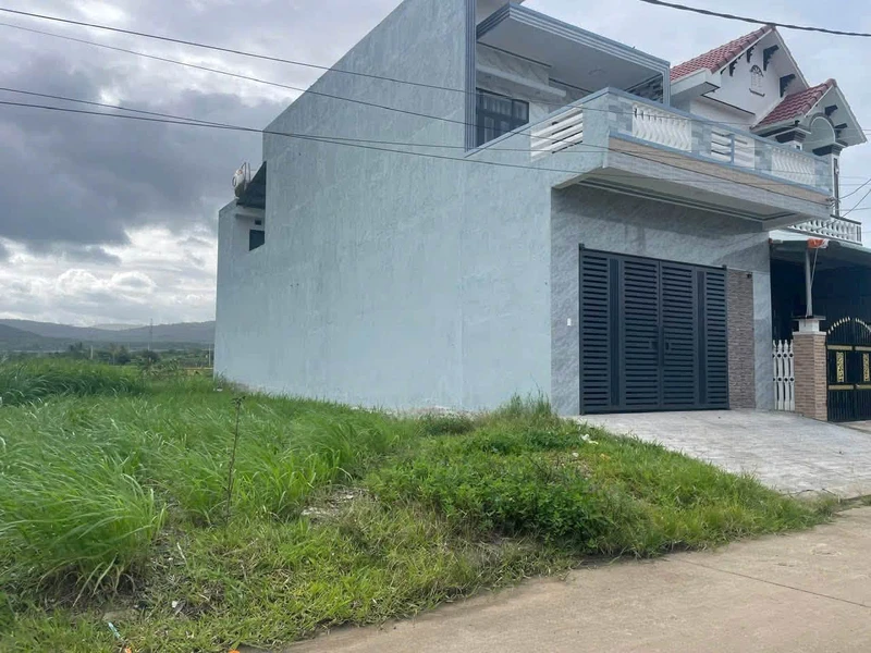 Bán đất vườn dừa 1.1 công Xã Châu Hưng Vĩnh Long hoacho
