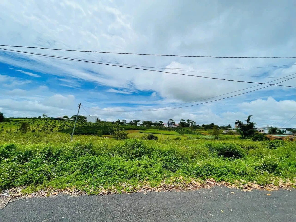 Bán đất full thổ cư 340m² Lý Thái Tổ Bảo Lộc 1,8 tỷ - Ảnh thu nhỏ 3
