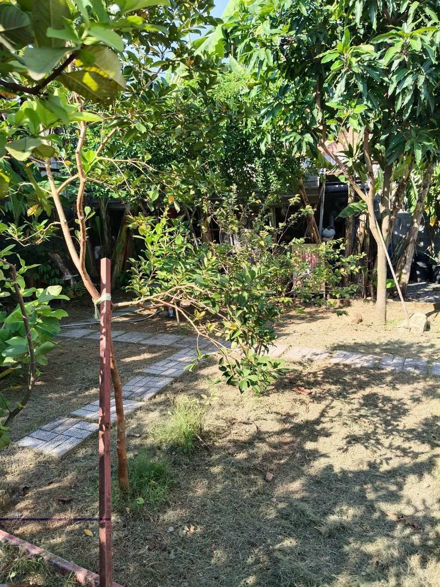 Bán đất Phường Bửu Long 300m2 1 tỷ 650 triệu - Ảnh thu nhỏ 3