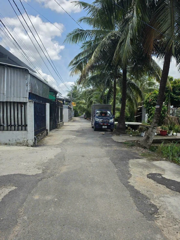 Bán nhà 309m² vườn cây ở Thái Bình, 2 phòng ngủ, 2 WC